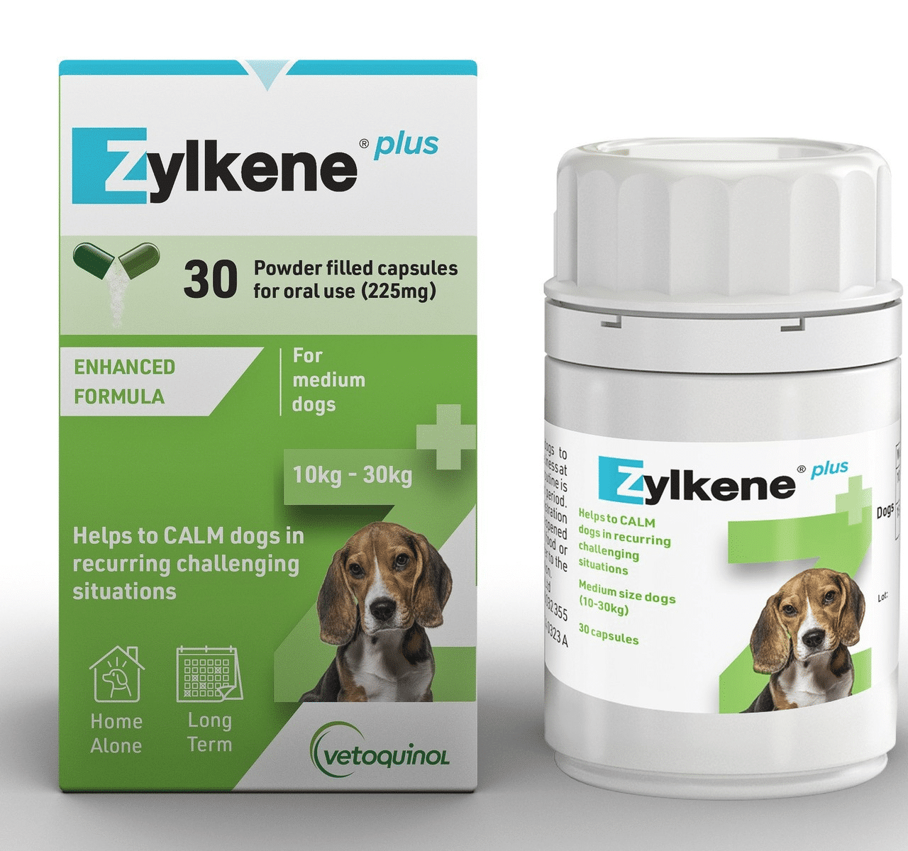 ZYLKENE Plus Mediym Dog 30s