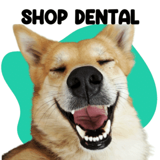 Dogs Dental