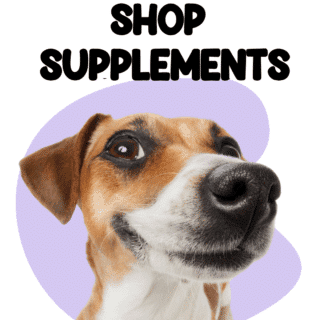 Dogs Supplements