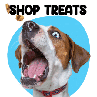 Dogs Treats