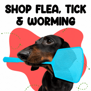 Dogs Flea Tick & Worming