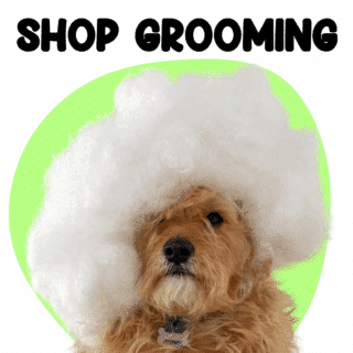 Dogs Grooming