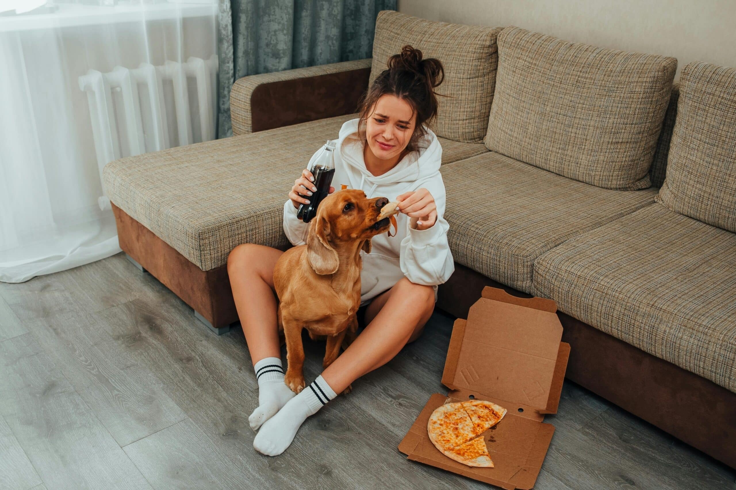 Pets Food