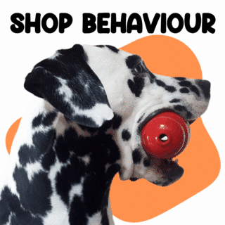 Dogs Behaviour