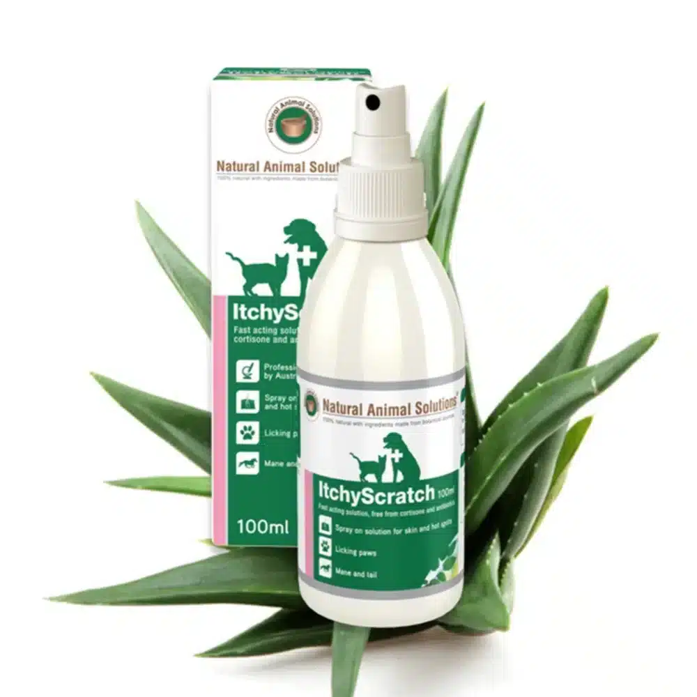 Natural Animal Solutions ItchyScratch For Cats and Dogs - 100ml