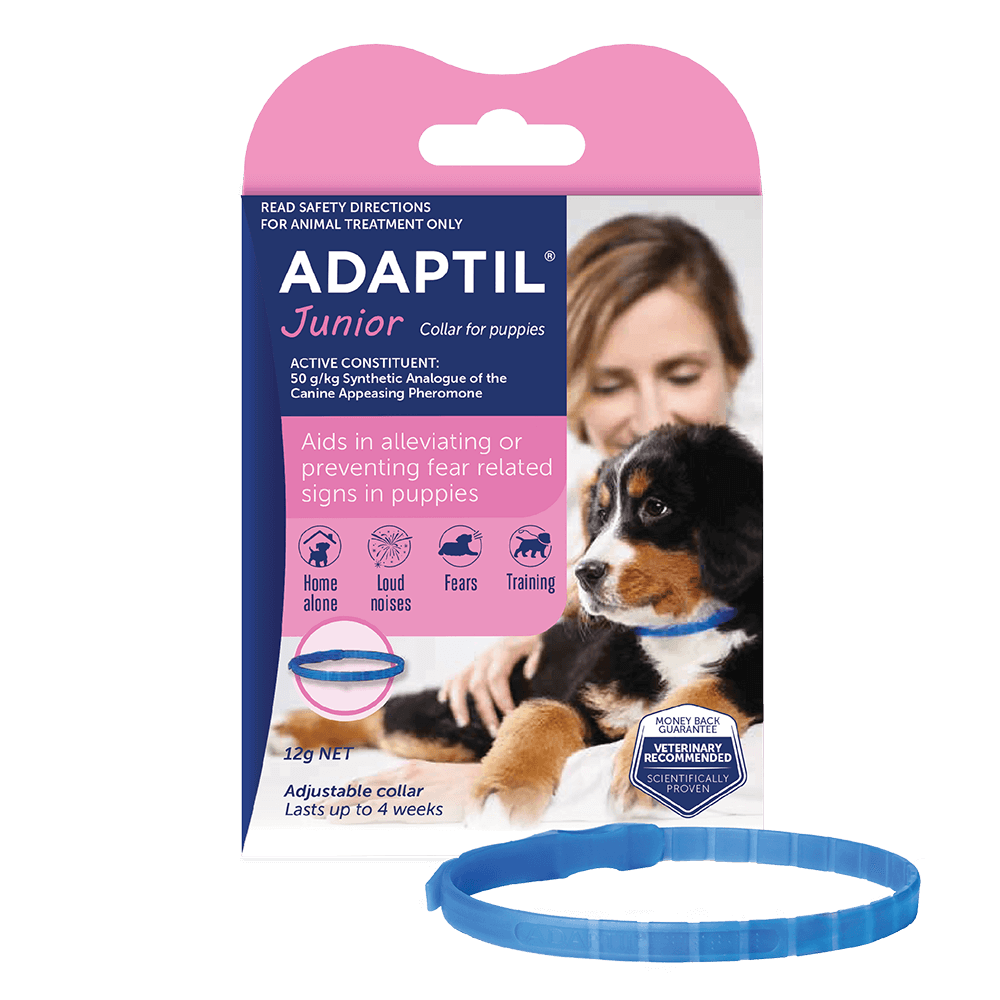ADAPTIL Junior Collar 45cm