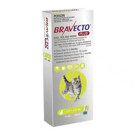 Bravecto Plus For Small Cats (Green) One