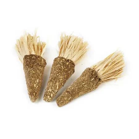 Pipkins Edible Alfalfa Carrots - 3 Pack