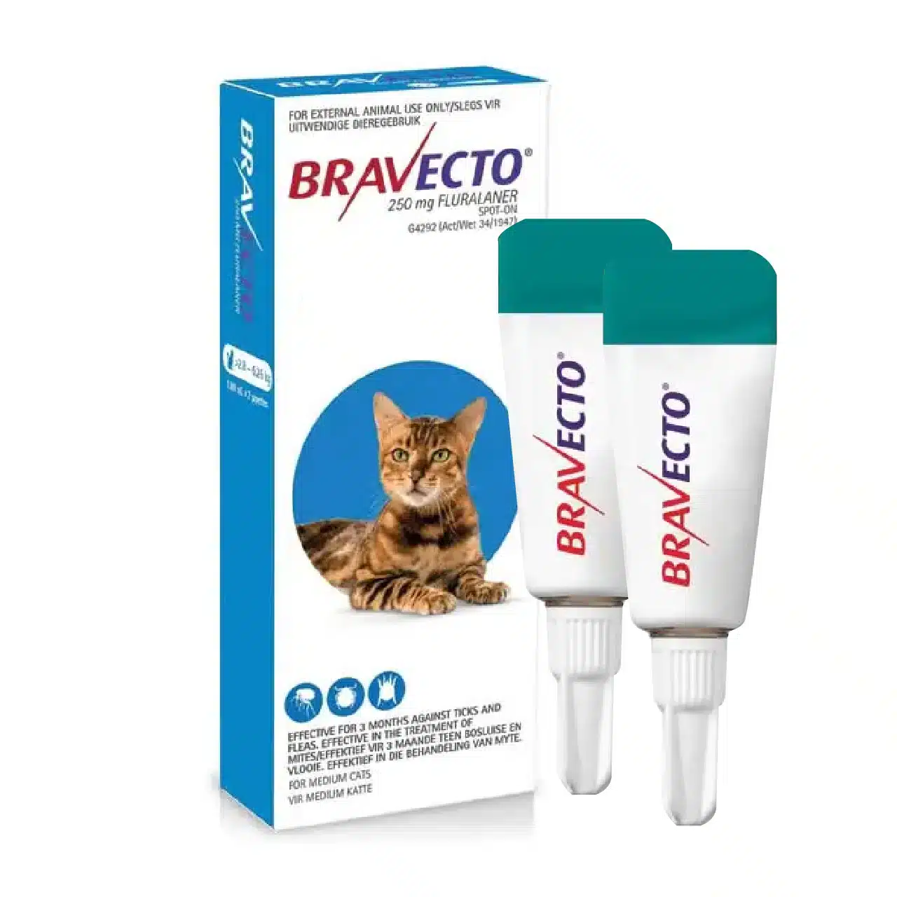 Spot-On Cat Blue Bravecto 2'S