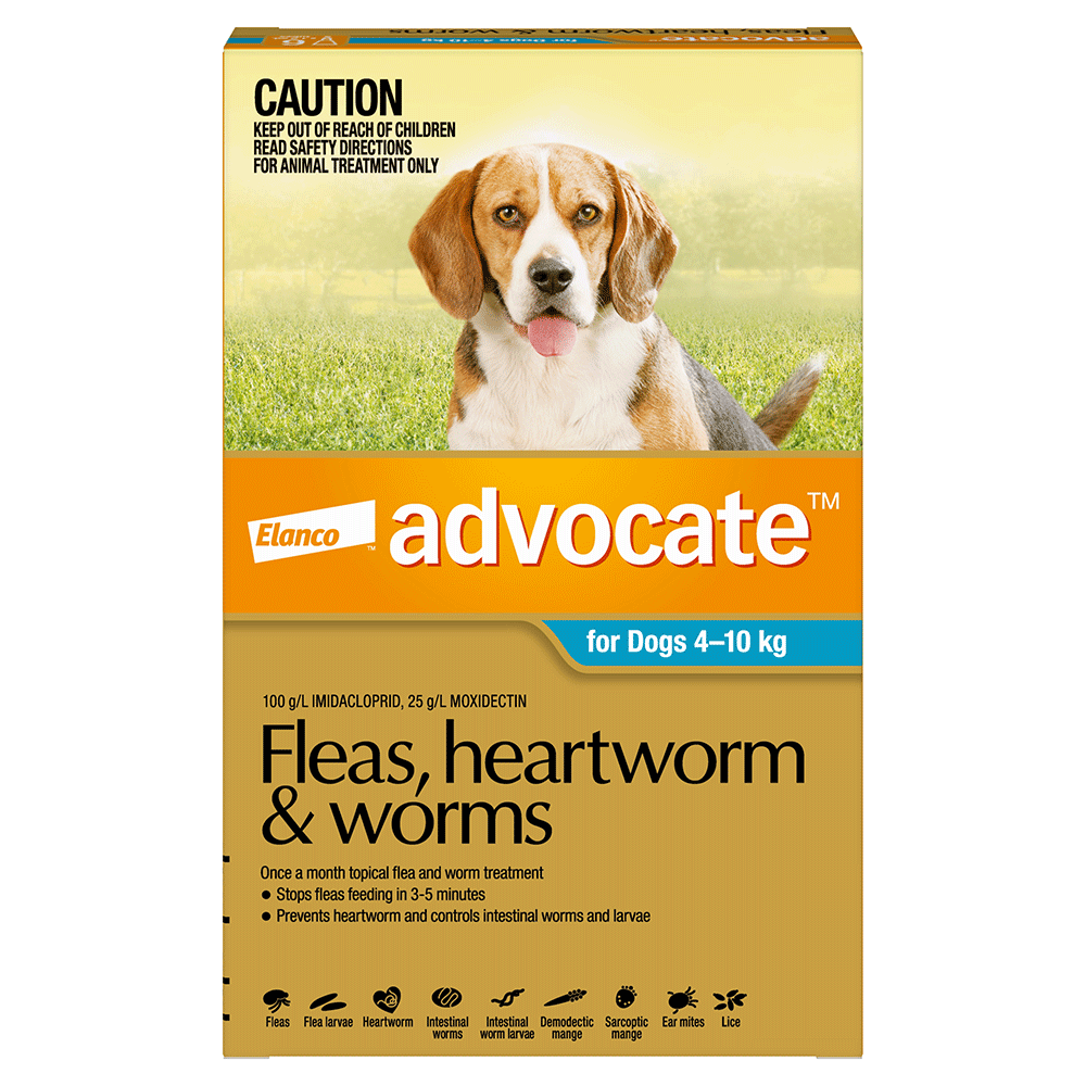 Advocate Medium Dog Aqua - 3 Packs And 6 Packs