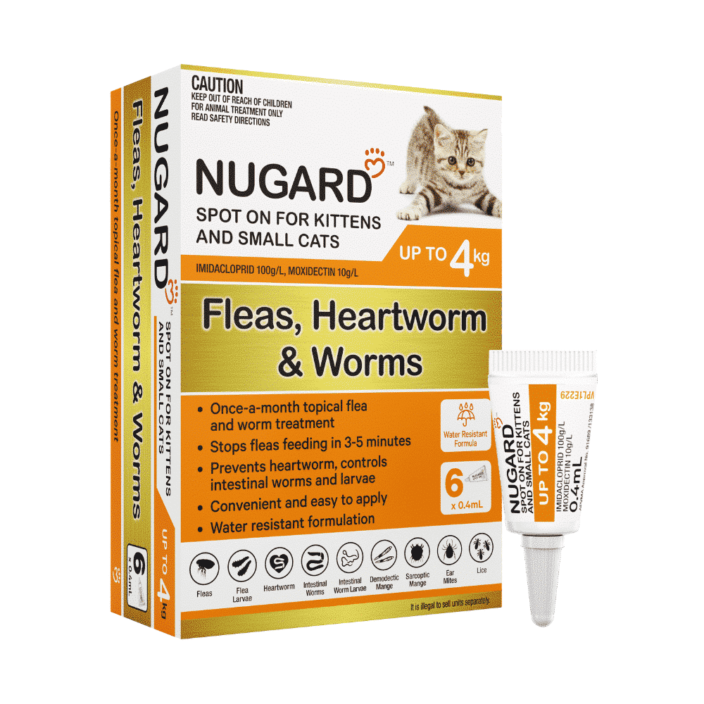 Nugard for Kittens and Small Cats Up to 4kg (Orange) 6 Pack