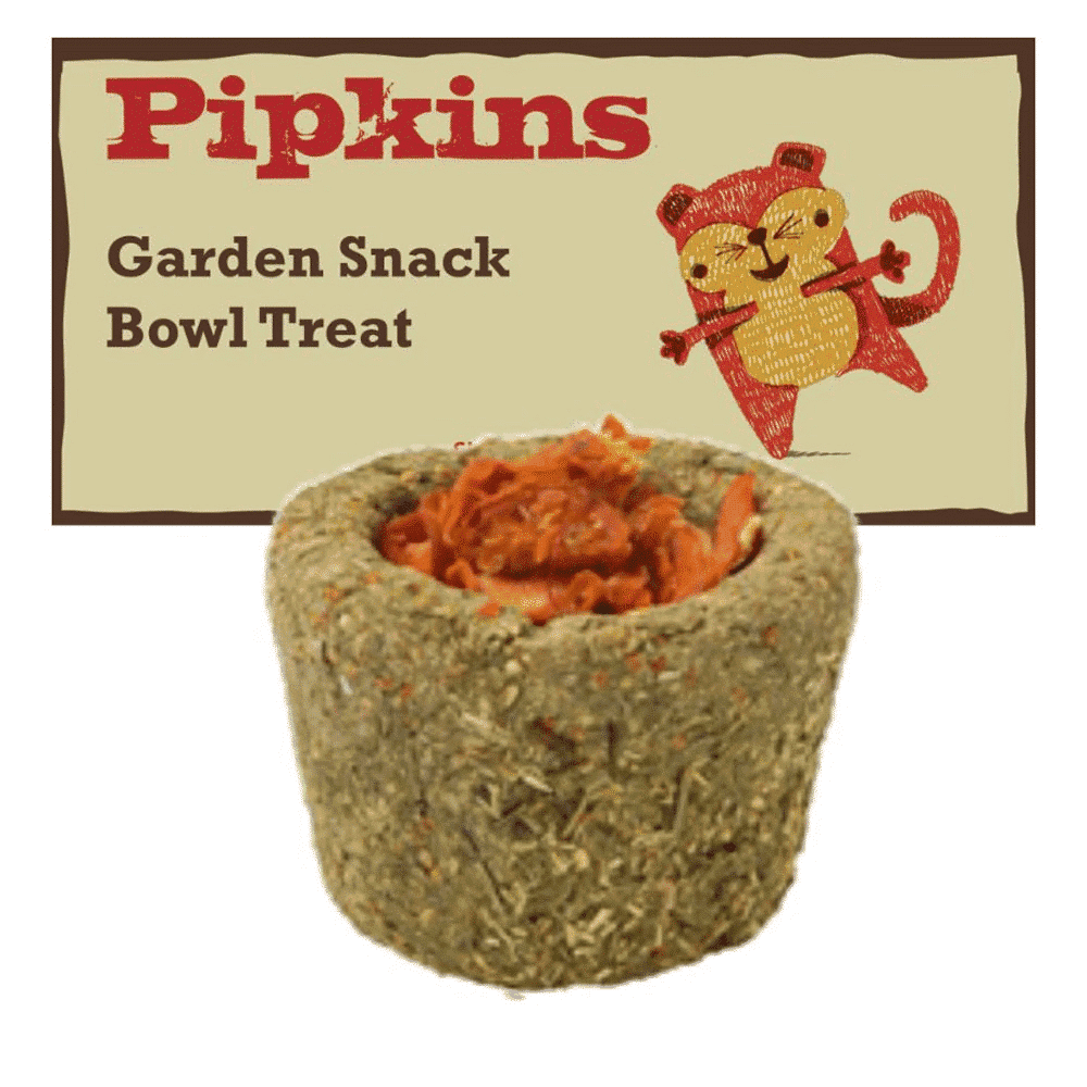 Pipkins Garden Snack Carrots Treat - 140g