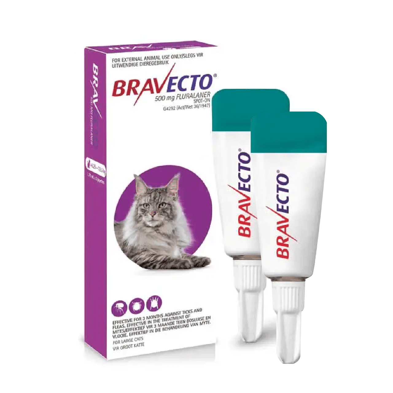 Spot-On Cat Purple Bravecto 2S