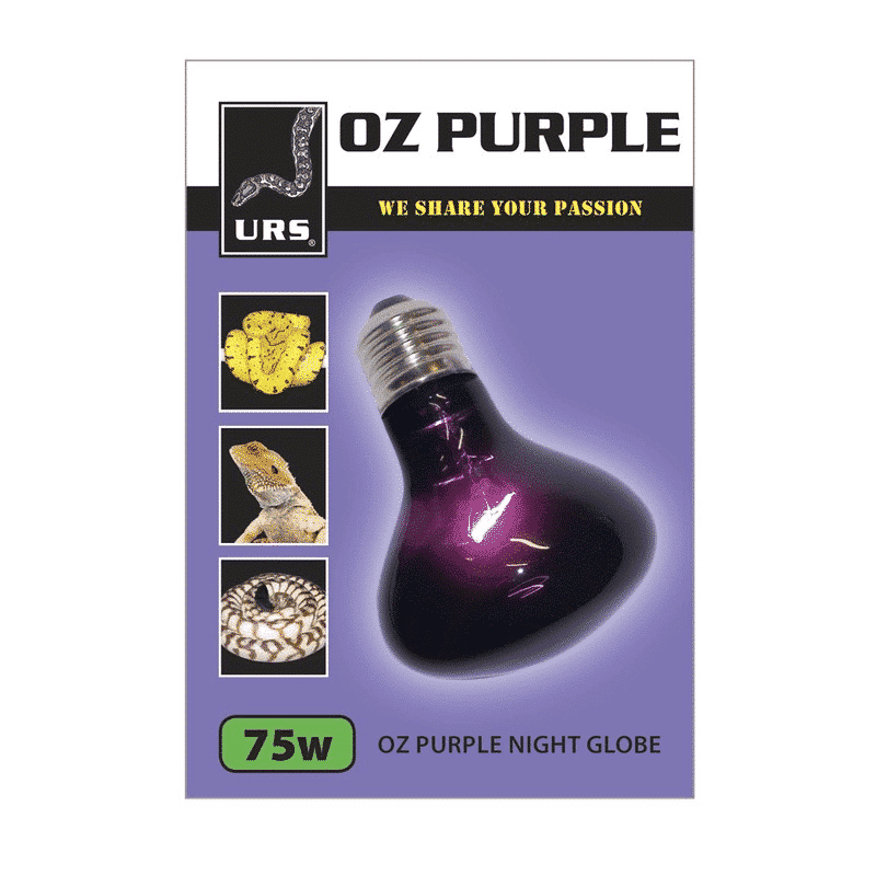 URS Oz Purple Night Globe 40W, 60W, & 75W 75W