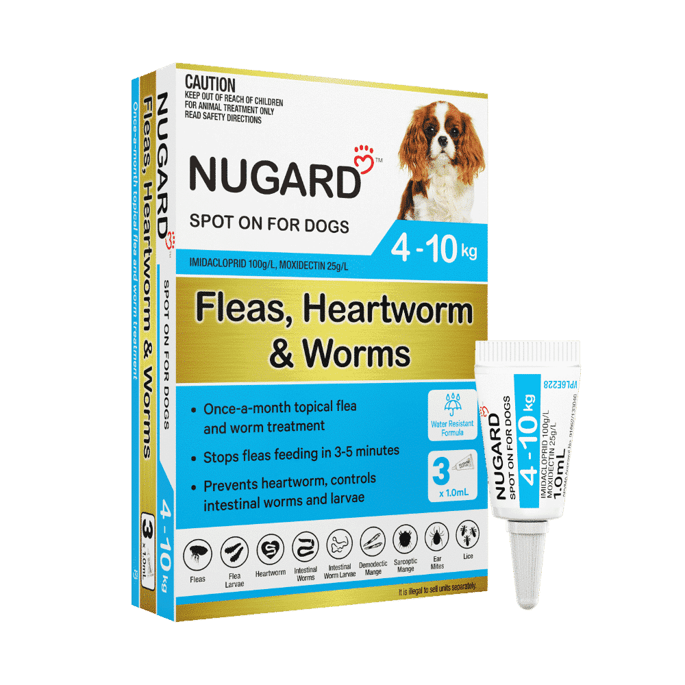 Nugard for Small Dogs 4-10kg (Aqua) 3 Pack