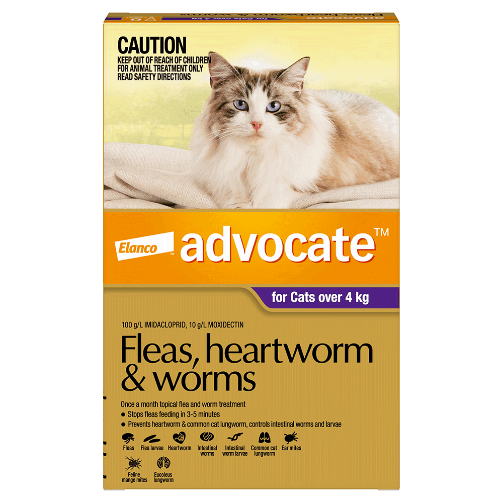 Advocate Large Cat Purple - 3 Packs And 6 Packs