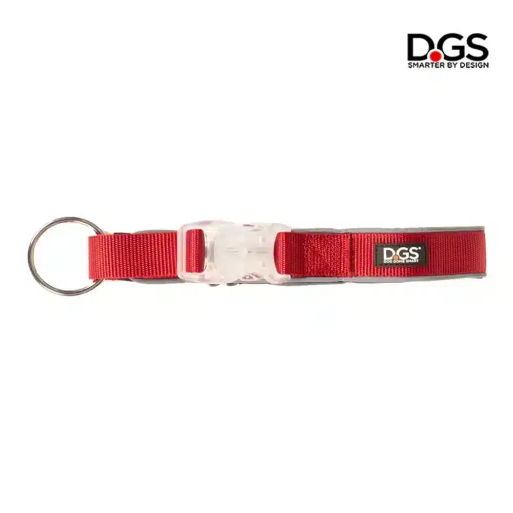 Dgs Led Dog Collar Medium - Black, Navy, Purple And Red Red