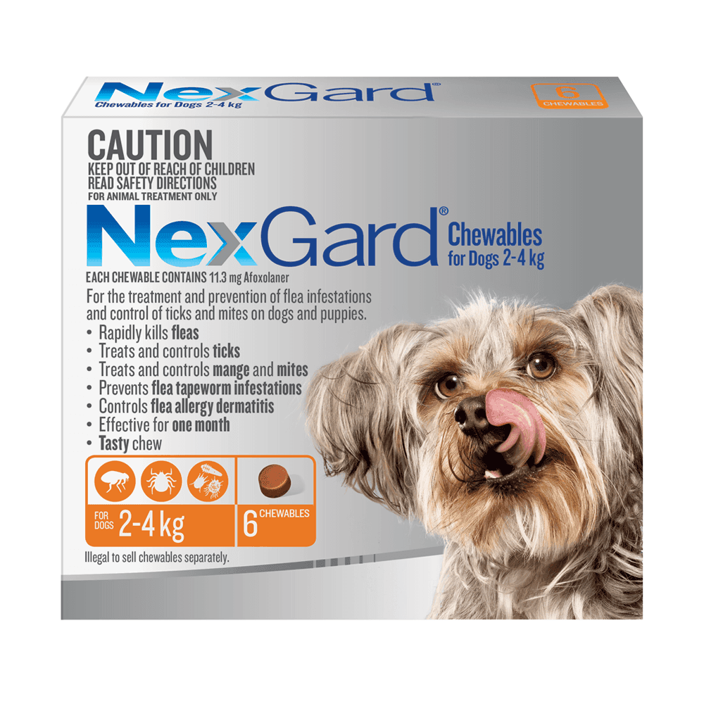 NexGard Very Small Dog 2kg - 4kg (Orange)