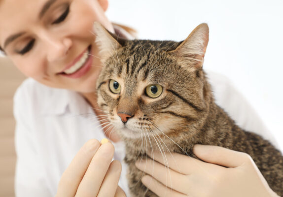 Does My Pet Need Popantel Tapewormer?