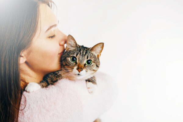 6 Steps for Successful and Stress-Free Cat Parasite Treatment