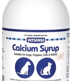 VETSENSE CALCIUM SYRUP 250ML