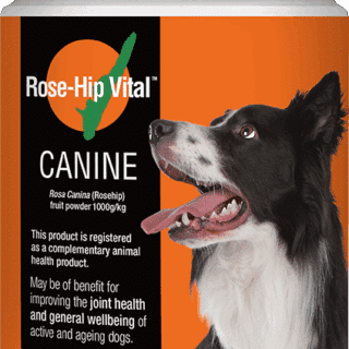 ROSEHIP CANINE 500G