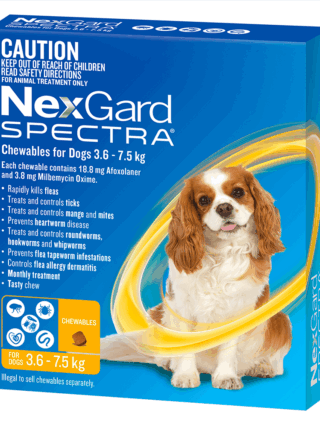 NexGard Spectra Small Dog 3.6 to 7.5kg (Yellow)