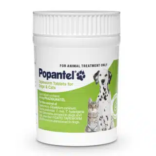 Popantel Tapeworm Tablets For Dogs and Cats