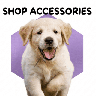 Dogs Accessories
