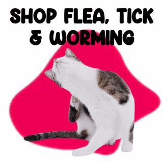 Cats Flea Tick & Worming