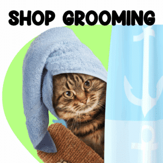 Cats Grooming