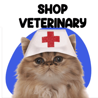 Cats Veterinary