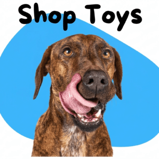 Dogs Toys