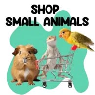 Small Animals