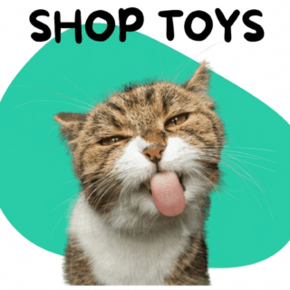 Cats Toys
