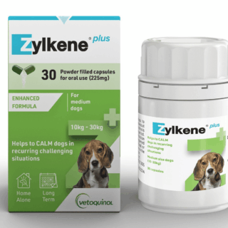 ZYLKENE Plus Mediym Dog 30s