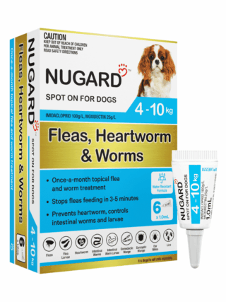Nugard for Small Dogs 4-10kg (Aqua)