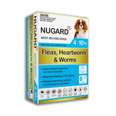 Nugard for Small Dogs 4-10kg (Aqua)